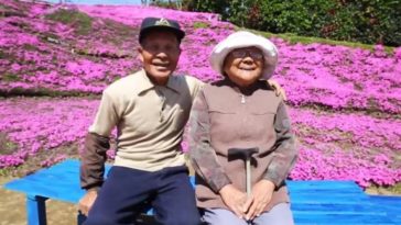 Un bărbat și-a petrecut 2 ani plantând mii de flori pentru ca soția lui oarbă să le poată mirosi